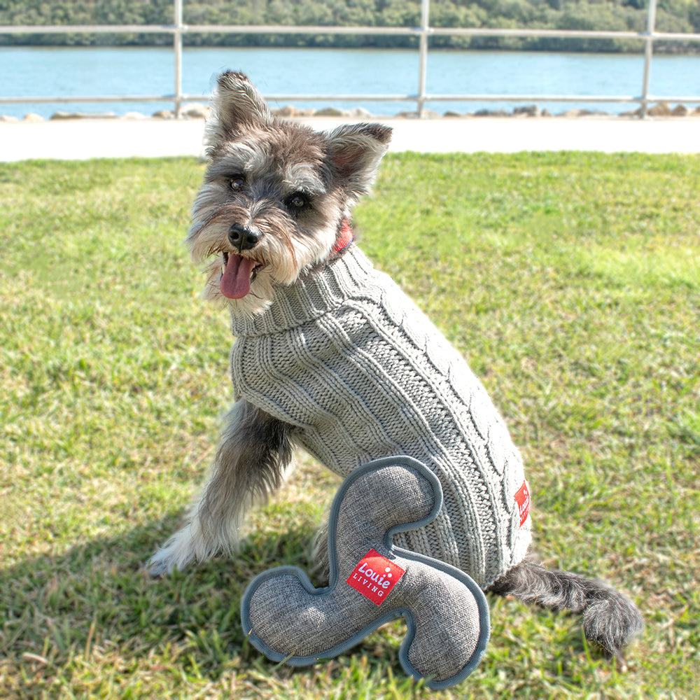 Louie Living - Frisbee - Dogs Toy Louie Living