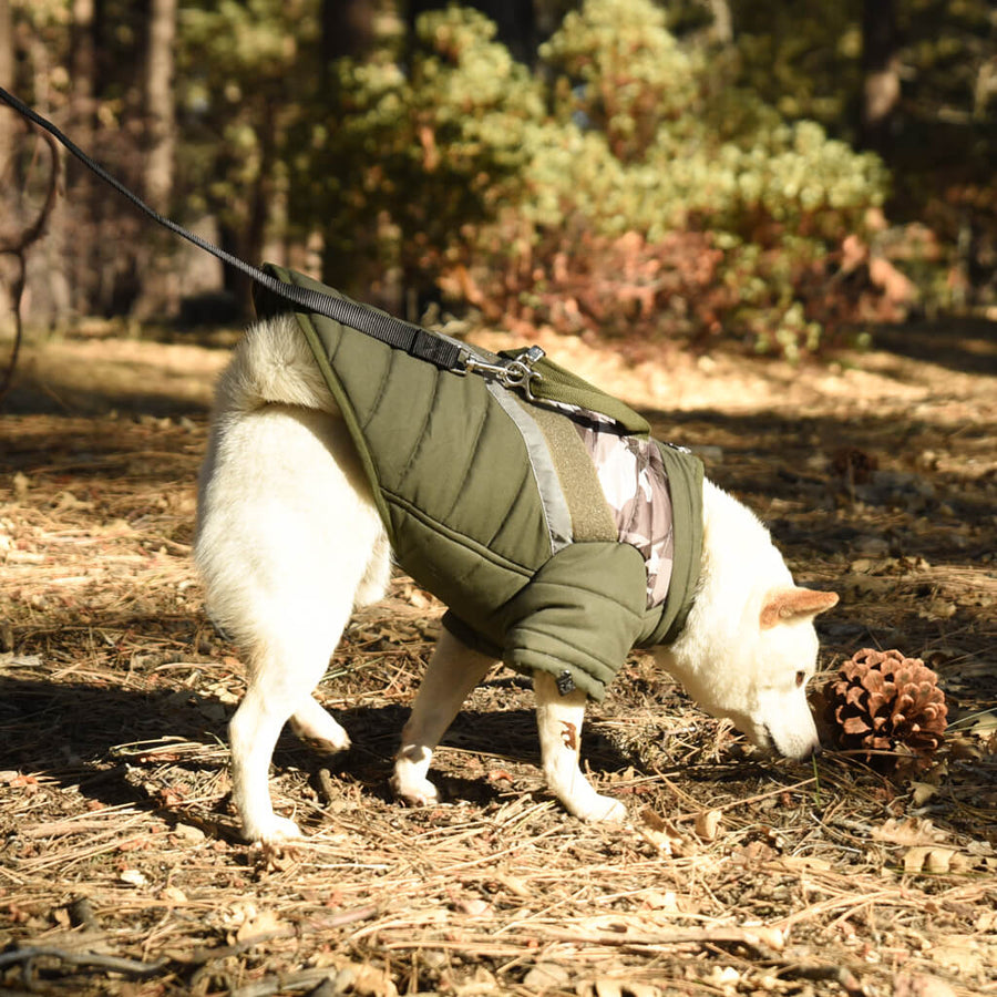 Gooby - Mountaineer Jacket Camo for Dogs GOOBY