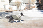 Gooby - Mountaineer Jacket Camo for Dogs GOOBY