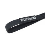 BullyBillows - BILLOWTHANE® RECALL LEAD - 10M | WATERPROOF & ANTI-RUST - MATTE PLATINUM | SERIES 2 BullyBillows