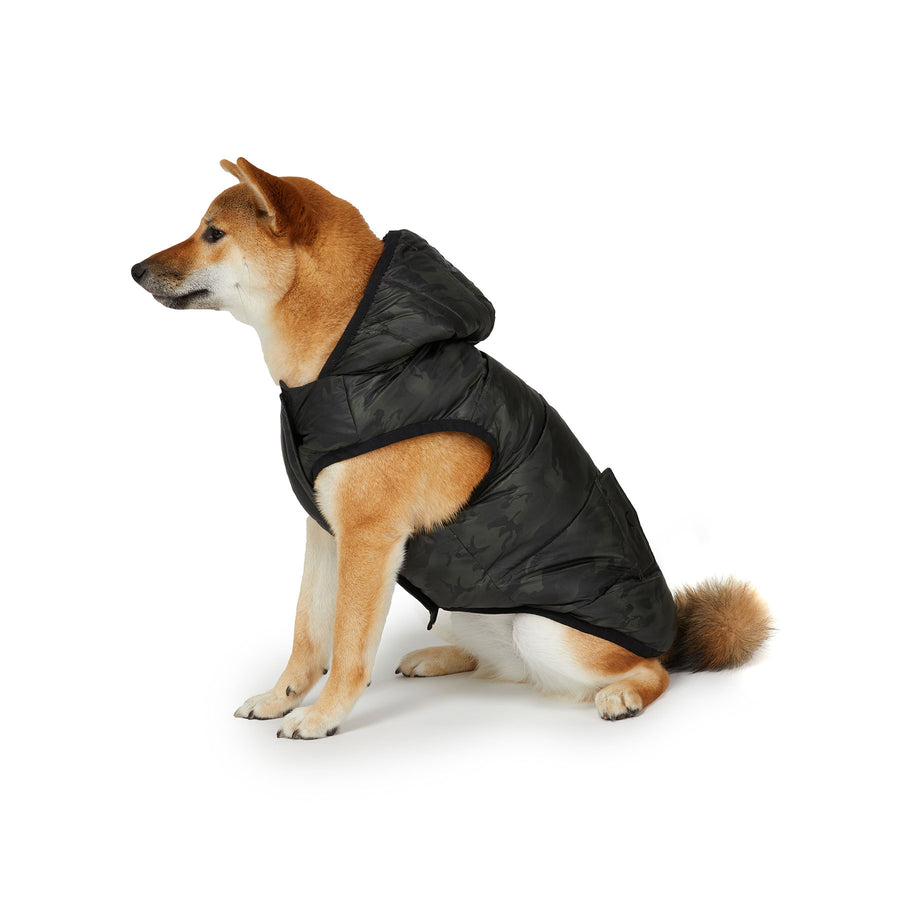 PAJAR - DUFF - Reversible Jacket & Hooded Coat For Dogs PAJAR