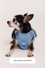 MAXBONE - Easy Fit Harness for Dogs MAXBONE