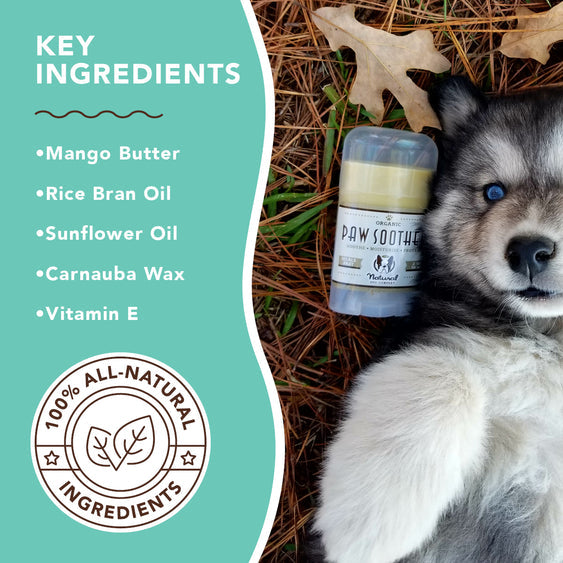 Natural Dog Company PAW SOOTHER® | All-Natural and Vegan Balm Natural Dog Company