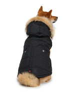 PAJAR - Barnard  - Hooded Coat For Dogs PAJAR