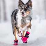 FINNERO HALLA booties for dog, 3 colors (4pcs/package) Finnero