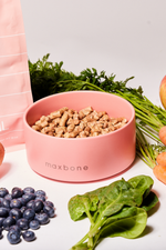 MAXBONE - Classic Ceramic Bowl for Dogs & Cats MAXBONE