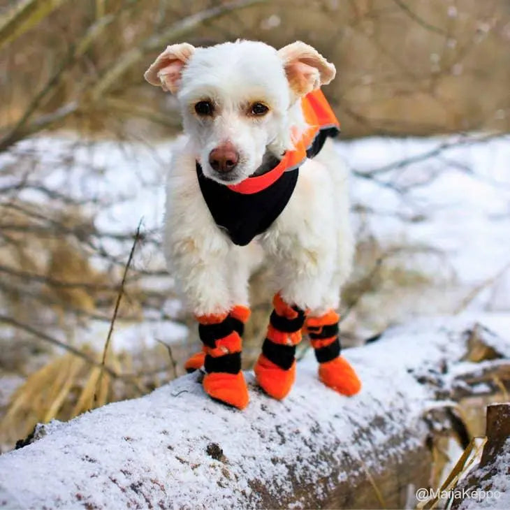 FINNERO HALLA booties for dog, 3 colors (4pcs/package) - PAWMART.ca