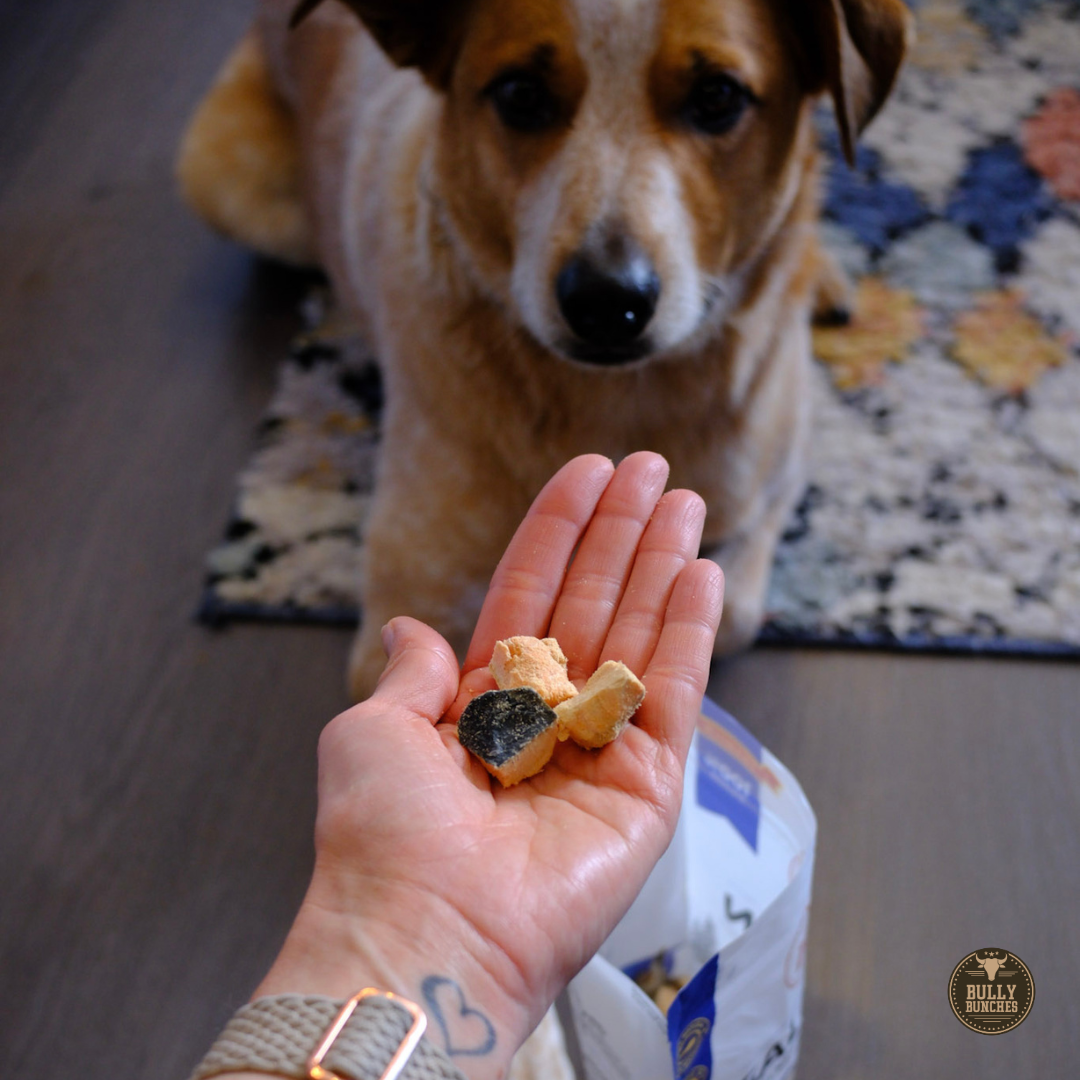 Freeze Dried Salmon 100g / 3.5oz Dog Treats, product photo 2 of 9